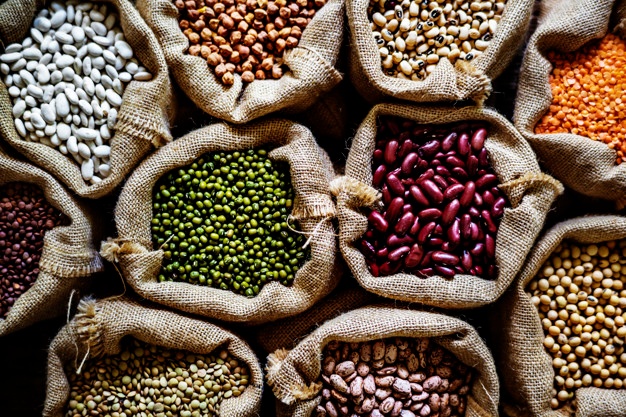 Legume Products